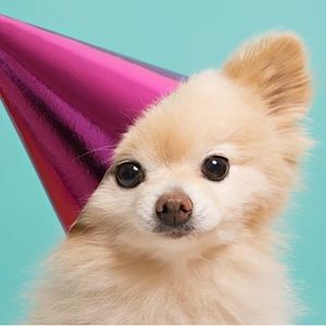 Meet your Posher, Audrey